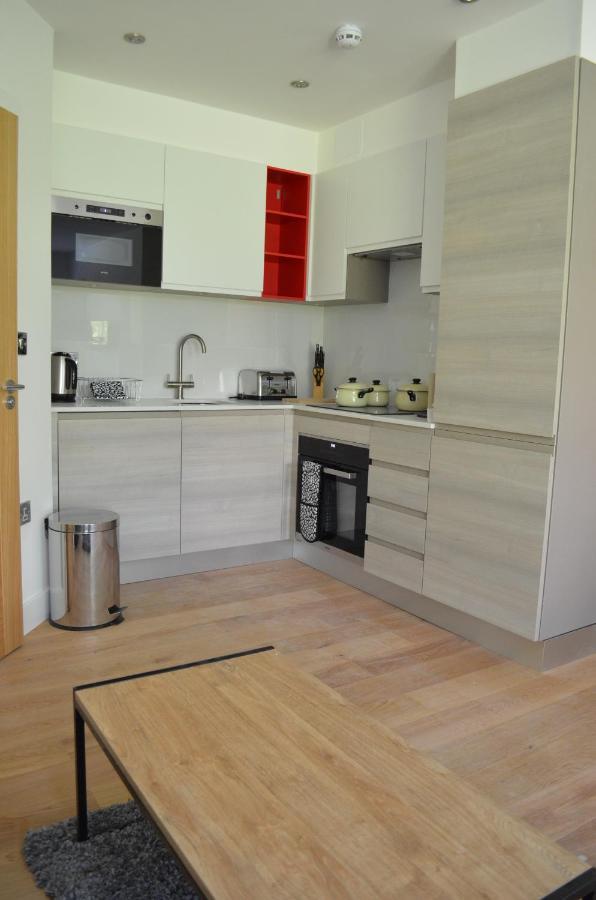 Executive Bright And Airy Studio Apartment In Sydenham London Exterior photo